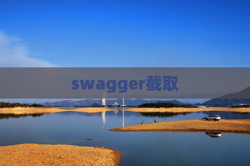 swagger截取